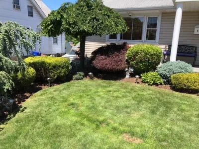 Rojas Lawn Maintenance - Seasonal Yard Cleaning in Lyndhurst, NJ