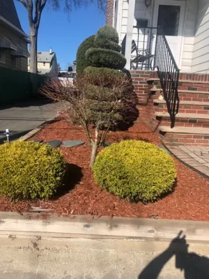 Rojas Lawn Maintenance - Seasonal Yard Cleaning in Lyndhurst, NJ