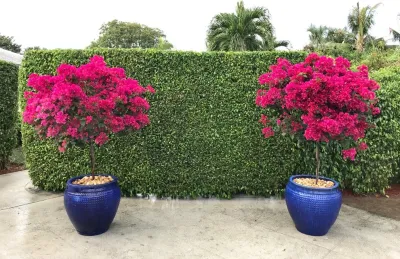 Roots Landscape Service, LLC - Landscape Repair in Palm Beach Gardens, FL