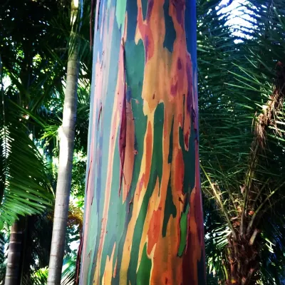Roots Landscape Service, LLC - Landscape Repair in Palm Beach Gardens, FL
