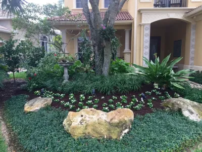 Roots Landscape Service, LLC - Landscape Repair in Palm Beach Gardens, FL
