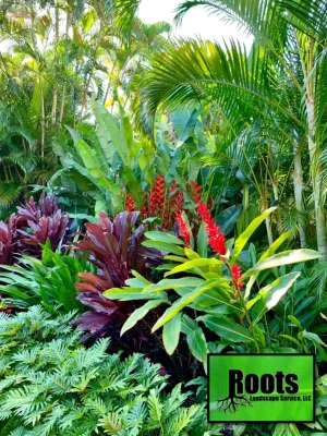 Roots Landscape Service, LLC - Landscape Repair in Palm Beach Gardens, FL