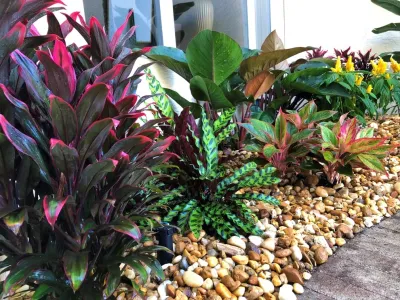 Roots Landscape Service, LLC - Landscape Repair in Palm Beach Gardens, FL