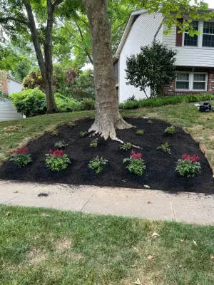 Brothers Designs LLC - Tile & Stone Installation Services in Silver Spring, MD