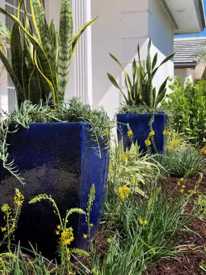 Roots Landscape Service, LLC - Landscape Repair in Palm Beach Gardens, FL