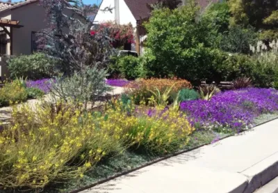 Our work — Landscape Construction project by Rosainz Landscape And Maintenance