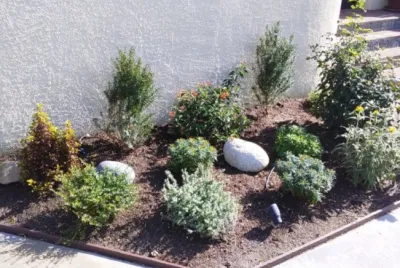 Rosainz Landscape and Maintenance - Landscape Design in Reseda, CA