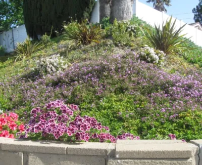 Rosainz Landscape and Maintenance - Landscape Design in Reseda, CA