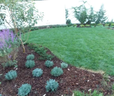 Rosainz Landscape and Maintenance - Landscape Design in Reseda, CA
