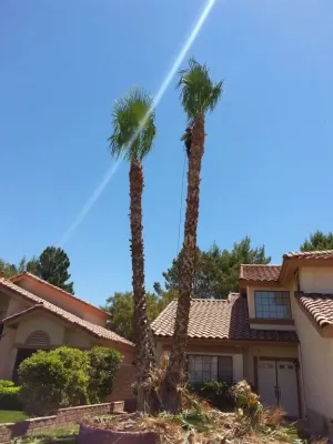 Ruben's Lawn Service - Landscape Construction in Las Vegas, NV