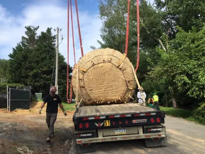 Ruppert Nurseries, Inc. - Tree & Shrub Care in Laytonsville, MD
