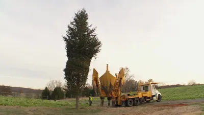 Ruppert Nurseries, Inc. - Tree & Shrub Care in Laytonsville, MD