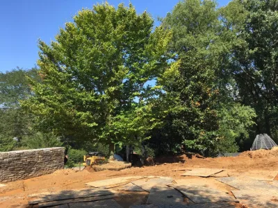 Ruppert Nurseries, Inc. - Tree & Shrub Care in Laytonsville, MD