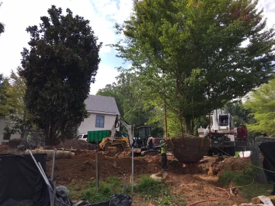 Ruppert Nurseries, Inc. - Tree & Shrub Care in Laytonsville, MD