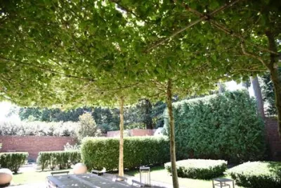 Ruppert Nurseries, Inc. - Tree & Shrub Care in Laytonsville, MD