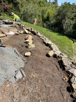 Matias Landscaping - Tree & Shrub Care in Oakland, CA