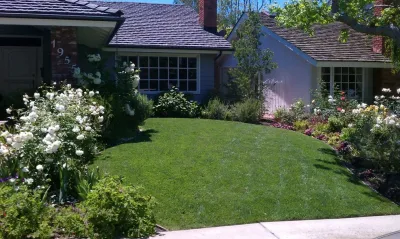 PORT CLARIDGE PL, NEWPORT BEACH, CA — Landscape Construction project by Ryan Burress - Landscape Design & Build in Newport Beach