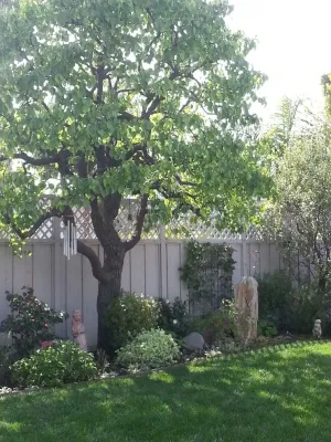 Ryan Burress - Landscape Design & Build - Outdoor Lighting Installation in Newport Beach, CA