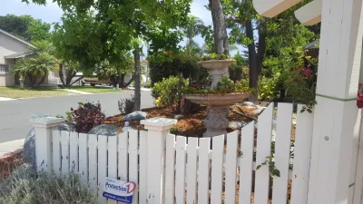 San Diego Native Landscapes - Tree & Shrub Care in San Diego, CA