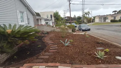 San Diego Native Landscapes - Tree & Shrub Care in San Diego, CA