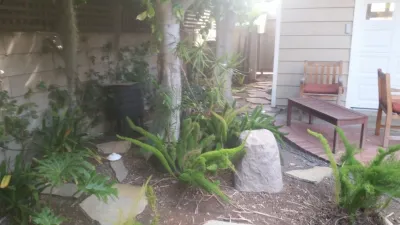 San Diego Native Landscapes - Tree & Shrub Care in San Diego, CA