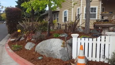 San Diego Native Landscapes - Tree & Shrub Care in San Diego, CA