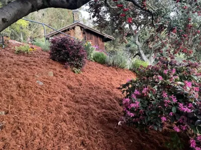Matias Landscaping - Tree & Shrub Care in Oakland, CA