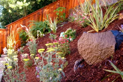St. Francis Woods — Landscape Construction project by San Francisco Green Spaces