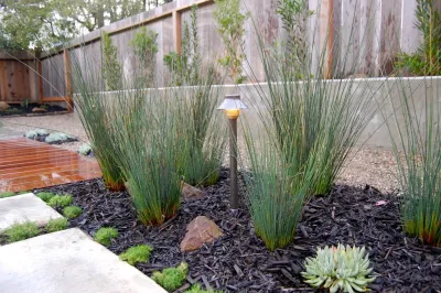 San Francisco Green Spaces - Landscape Maintenance in San Francisco, CA