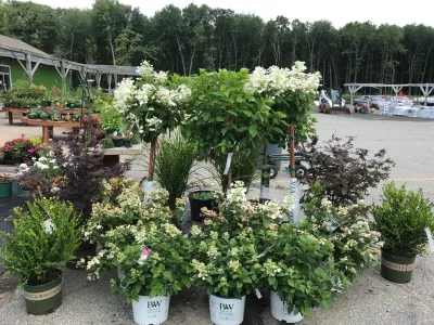 S&S and Tarnow - Paver Installation in Enfield, CT