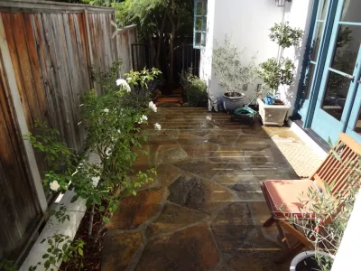 SB Evolution Landscape - Tree & Shrub Care in Santa Barbara, CA