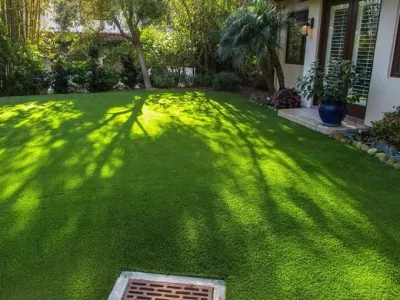 SB Evolution Landscape - Tree & Shrub Care in Santa Barbara, CA