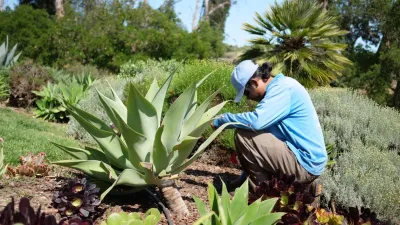SB Evolution Landscape - Tree & Shrub Care in Santa Barbara, CA