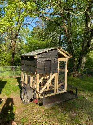 TION_Designs, LLC - Architectural & Building Design Services in Soddydaisy, TN