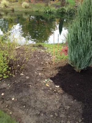 SB Landscaping - Tree & Shrub Care in Peninsula, OH