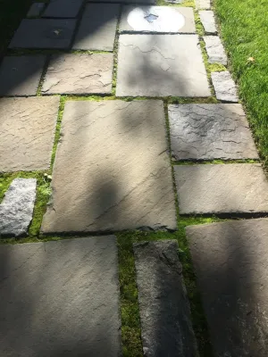 Scape-Abilities - Land Cleaning in Scotch Plains, NJ