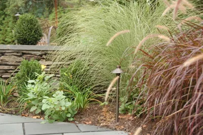 Scape-Abilities - Land Cleaning in Scotch Plains, NJ