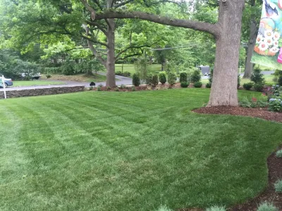 Scape-Abilities - Land Cleaning in Scotch Plains, NJ