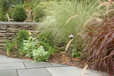 Scape-Abilities - Land Cleaning in Scotch Plains, NJ
