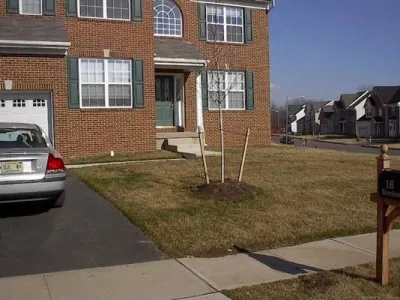 Scapes Design, LLC - Lawn Aeration in Allentown, PA