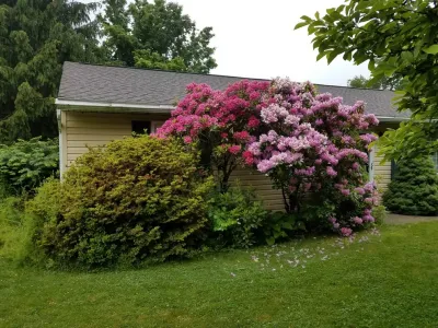 Scapes Design, LLC - Lawn Aeration in Allentown, PA