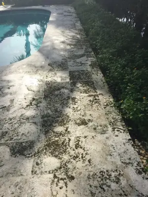 Delray Beach Florida Coral Pool Patio Maintenance and Sealing — Deck Building & Repair project by Renew Crew Of Palm Beach County