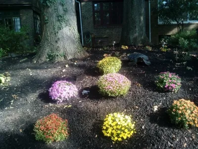 Scott's Lawn Care - Lawn Aeration in Flint, MI