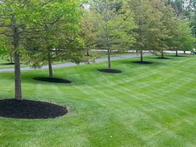 Seasons Best Landscaping - Tree & Shrub Care in Maineville, OH