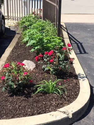 Seasons Best Landscaping - Tree & Shrub Care in Maineville, OH