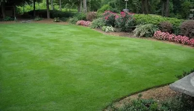 Charlotte Lawn Care and Landscape Projects — Landscape Construction project by SecureTurf - Charlotte Landscaping Experts