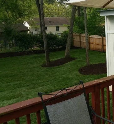 SecureTurf - Charlotte Landscaping Experts - Tree & Shrub Care in Matthews, NC