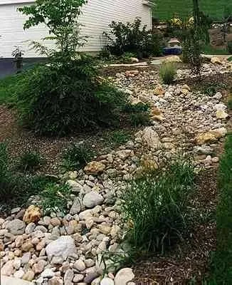 SecureTurf - Charlotte Landscaping Experts - Tree & Shrub Care in Matthews, NC