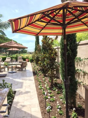 Seed Landcare - Landscape Design in Costa Mesa, CA