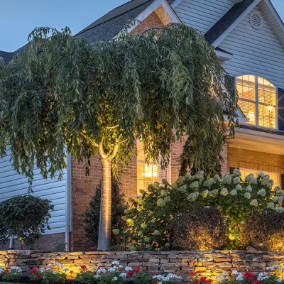 Deck Illumination — Deck Building & Repair project by DecksDirect